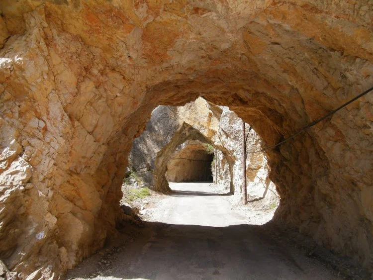 Alaia Pitarque